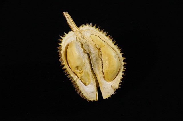 Representational image of durian fruit durian