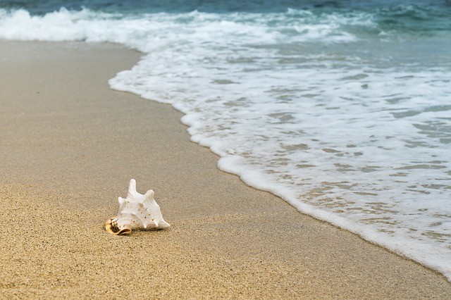 Picture For Representation Sea side
