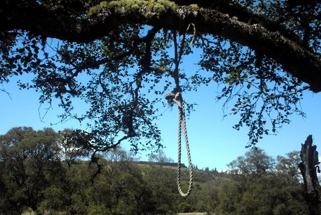 The couple hanged themselves from a tree in their village. (Representational Image) Noose
