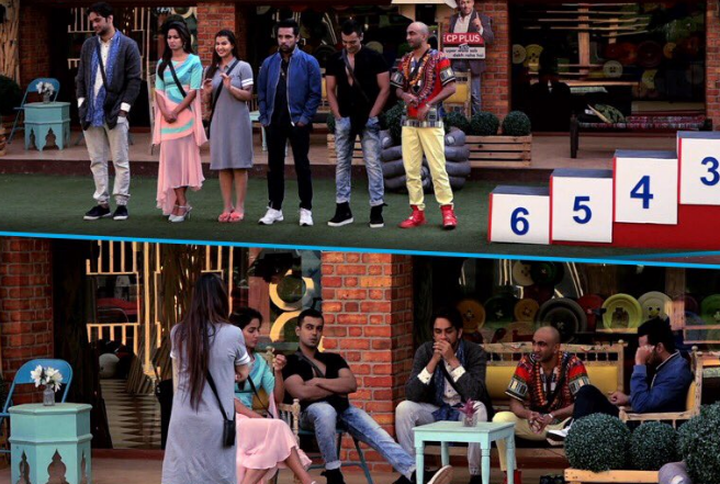 Who will reach the finale week? Bigg Boss 11