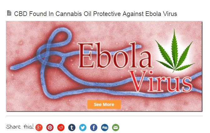 The claims that Marijuana cures ebola is a viral hoax as there is no scientific research conducted on the subject. The claims that Marijuana cures ebola is a viral hoax as there is no scientific research conducted on the subject.