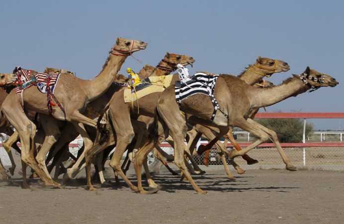 File picture used for illustration purpose only. tourism oman india relations king emperor muscat attractions trade bilateral relations gulf indians nri workers migrants crude oil prices natural gas Sultan Qaboos