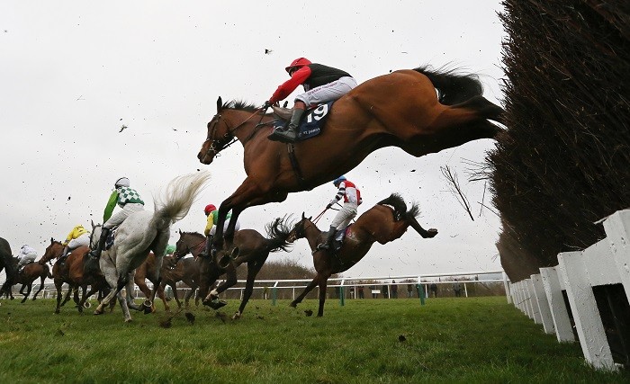 Representational image Cheltenham Festival, horse racing, Gold Cup, race schedule, National Hunt