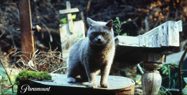 Pet Sematary movie trailer Pet Sematary movie trailer