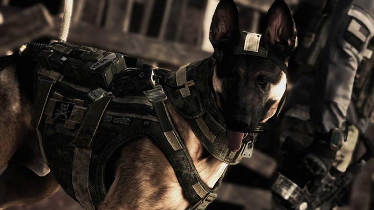 Call of Duty: Ghosts get a Wolf DLC. (Facebook) Call of Duty: Ghosts