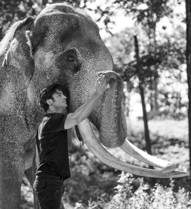 Vidyut Jammwal becomes an Elephant Whisperer for Junglee ...