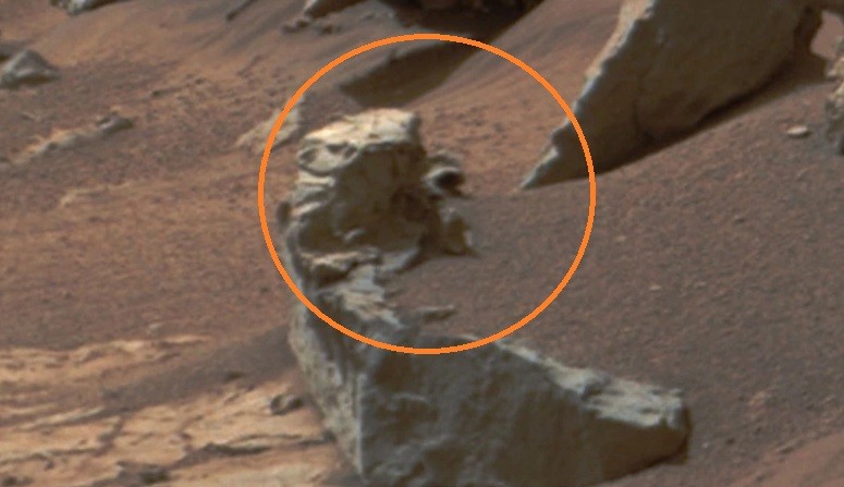 Penguin on Mars