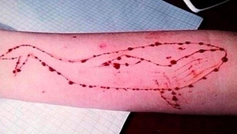 Representational image Blue Whale game