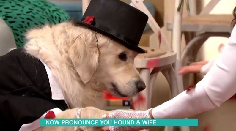 hound and wife