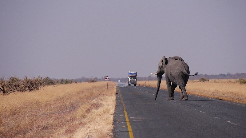 24. Botswana, 18.4 24. Botswana, 18.4