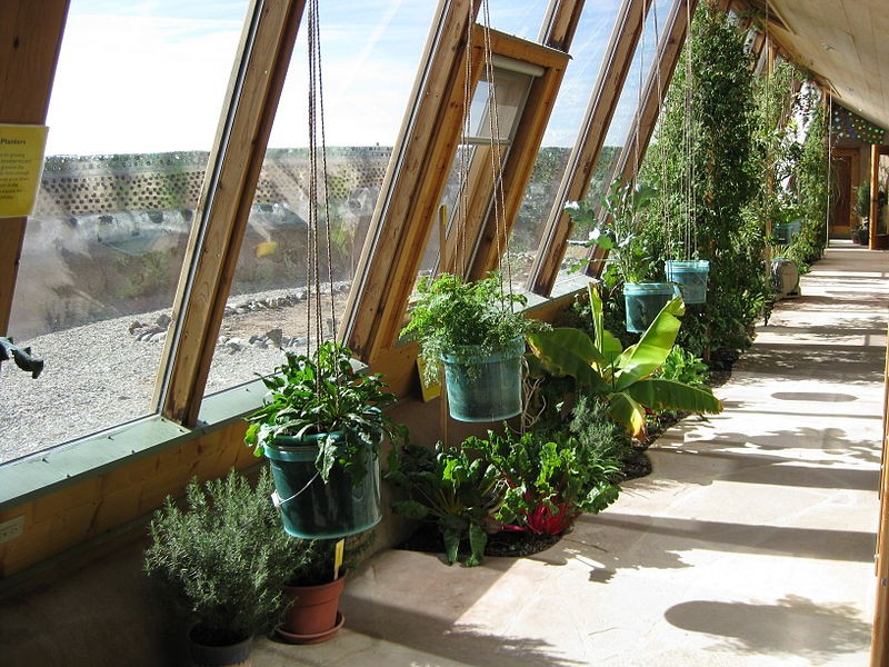 Interior green house of an earthship Sustainable home