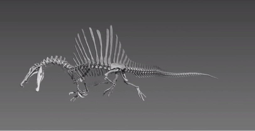 Digital model of Spinosaurus Digital model of Spinosaurus
