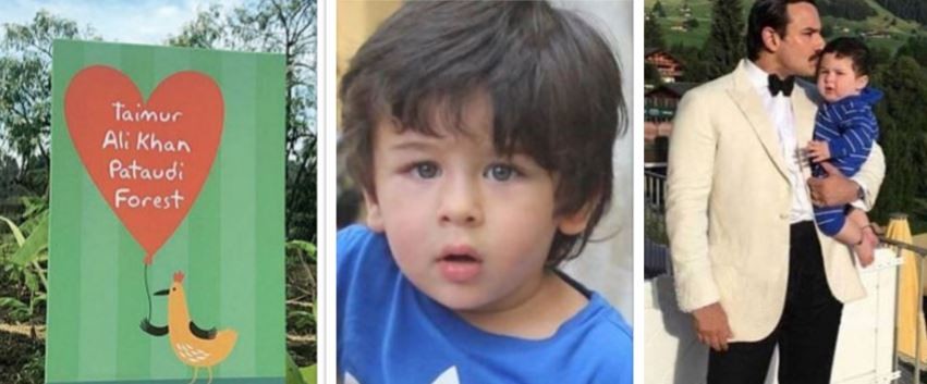 Taimur gifts