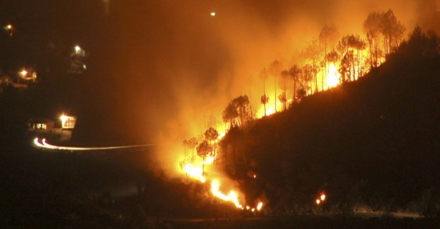 (Representational Image) forest fire