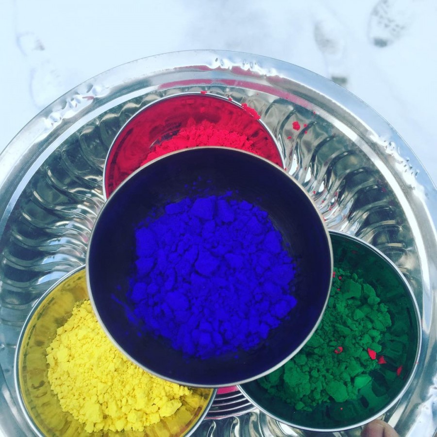 Priyanka Chopra celebrates Holi with Quantico team - Photos,Images