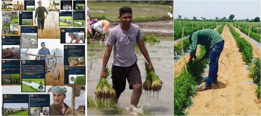 After watching Maharshi, viewers headed to villages to take up weekend farming After watching Maharshi, viewers headed to villages to take up weekend farming
