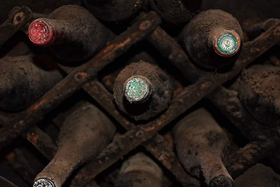 World's oldest Italian wine found - Photos,Images,Gallery - 72603