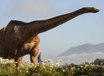 Dinosaur