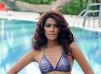 kingfisher-calendar-hunt-2012