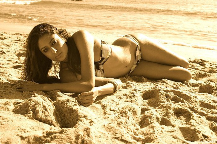 Kingfisher Calendar Hunt 2012