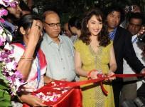 international-film-festival-of-india