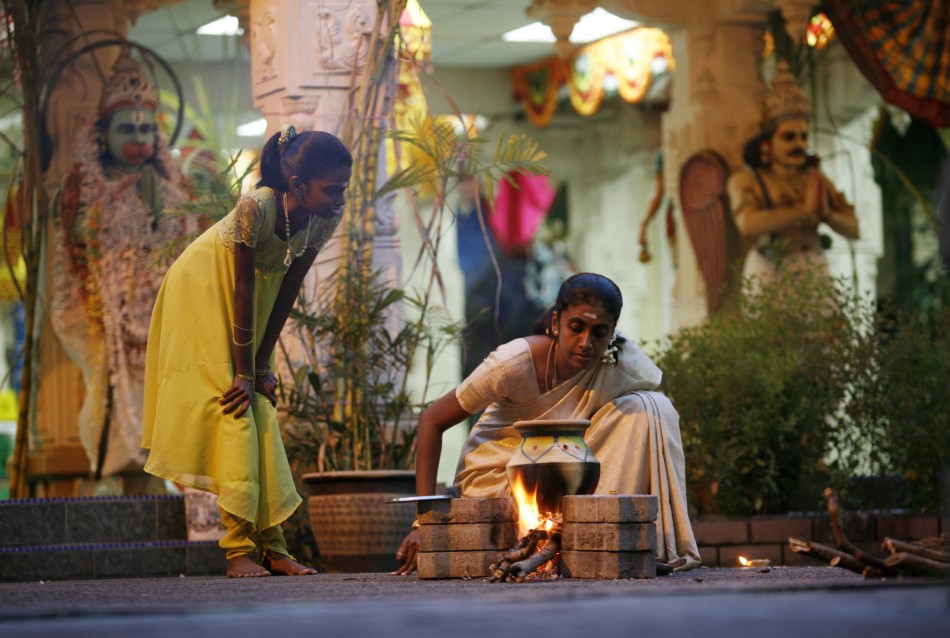 Hindu devotee prepare a ritual dish during Pongal Festival. Pongal celebration