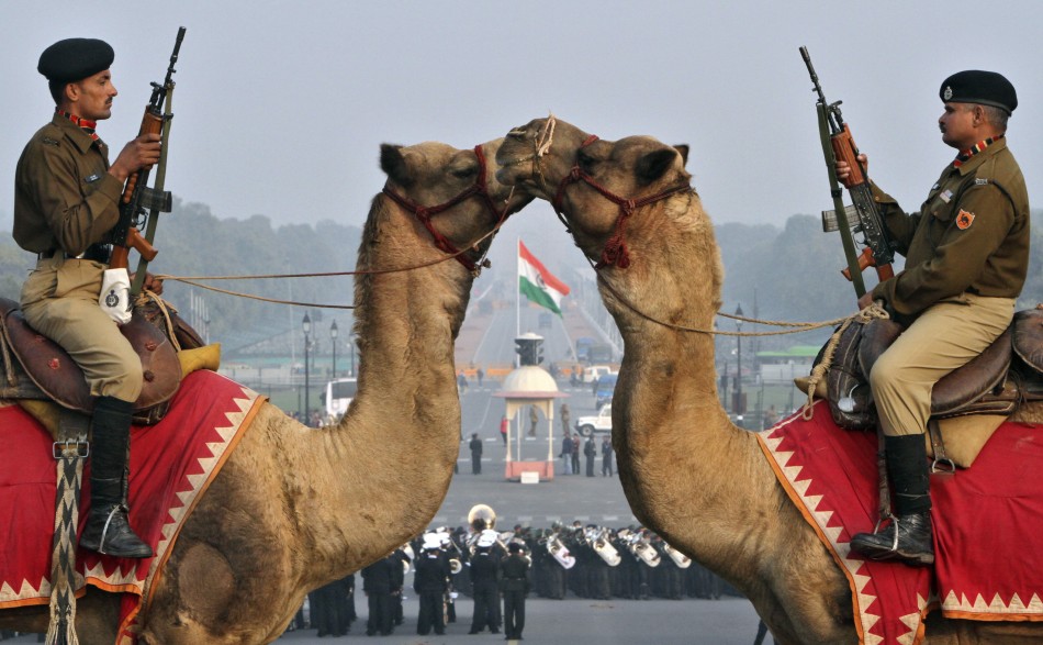 Republic Day Arrangement