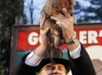 groundhog-day