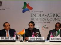 india-africa-business-council-meet