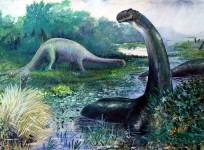 representational-image