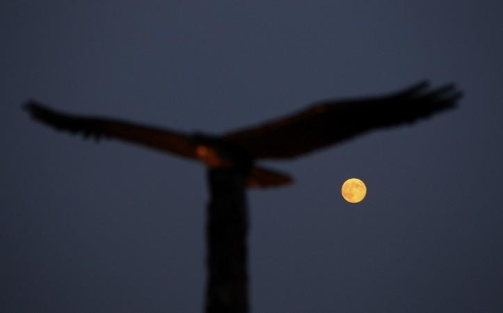 A full moon known as a Blue moon