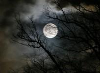 blue-moon