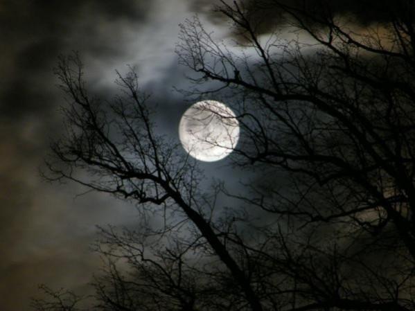 A blue moon occurs once every 2.7 years. (Twitter) Blue Moon
