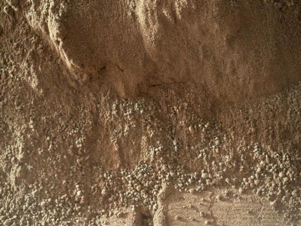This image shows the wall of a scuffmark NASA's Curiosity made in a windblown ripple of Martian sand with its wheel. The upper half of the image shows a small portion of the side wall of the scuff and a little bit of the floor of the scuff (bottom of this image). The prominent depression with raised rims at the bottom center of the image was formed by one of the treads on Curiosity's front right wheel.(PHOTO: NASA/JPL-Caltech/MSSS) Football-Sized Martian Rock