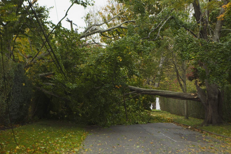 Hurricane Sandy