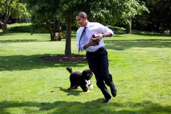 President Barack Obama is photographed playing football on the South Lawn of the White House with the family dog Bo, May 12, 2009. Barack Obama