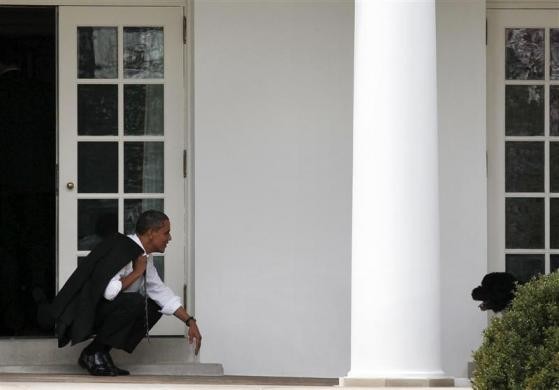 President Barack Obama bends down to wait for his dog, Bo, to come towards him outside the Oval Office of the White House, March 15, 2012. Barack Obama