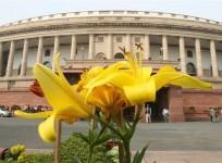 indian-parliament