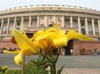 Parliament