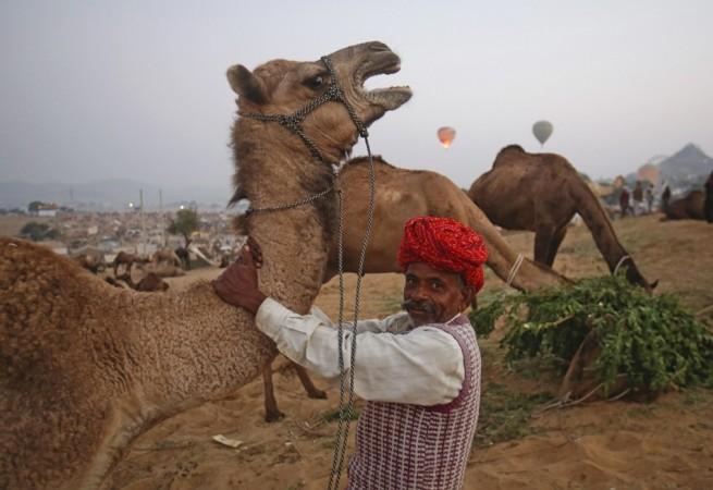 Pushkar Mela