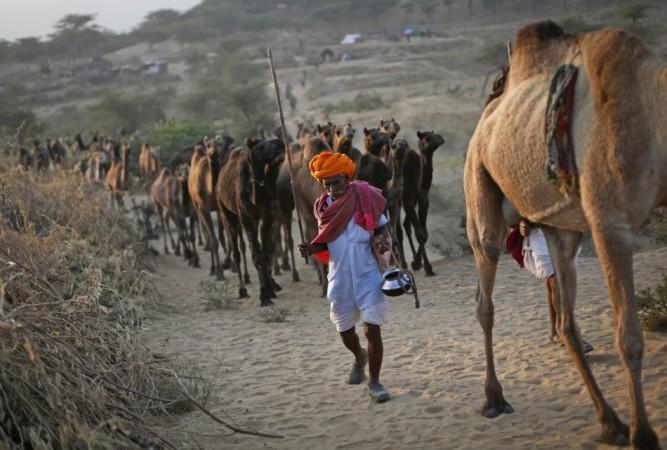 Pushkar Mela