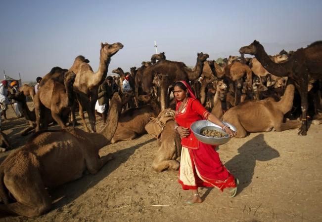 Pushkar Mela