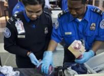 TSA airport security employees