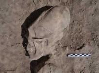 alien-like-skulls-excavated-in-mexico