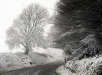 snowfall