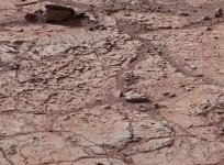 handout-of-the-surface-of-the-planet-mars