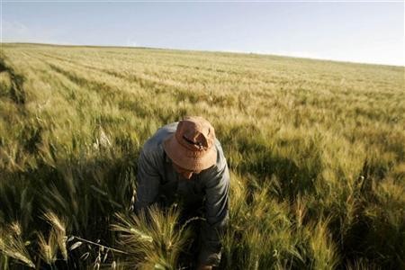 Farmers Can Help Slow Down Global Warming: Study (Reuters)