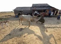 representational-image