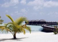 maldives