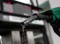 A man poses with a gasoline pump at a Budapest petrol station January 19, 2011. Gas Prices To Average Below $3 Next Year, Government Predicts